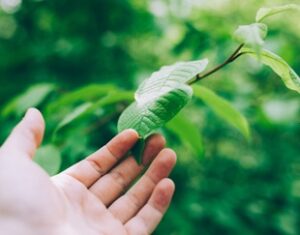 Agissons ensemble pour la planète !